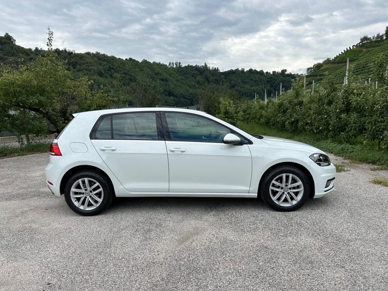 Volkswagen Golf 1.6 TDI 115 CV 5p. Executive BlueMotion Technology