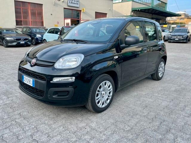 Fiat Panda 1.0 FireFly S&S Hybrid Pandina Tech Km 13.000 PREZZO VERO!!!!