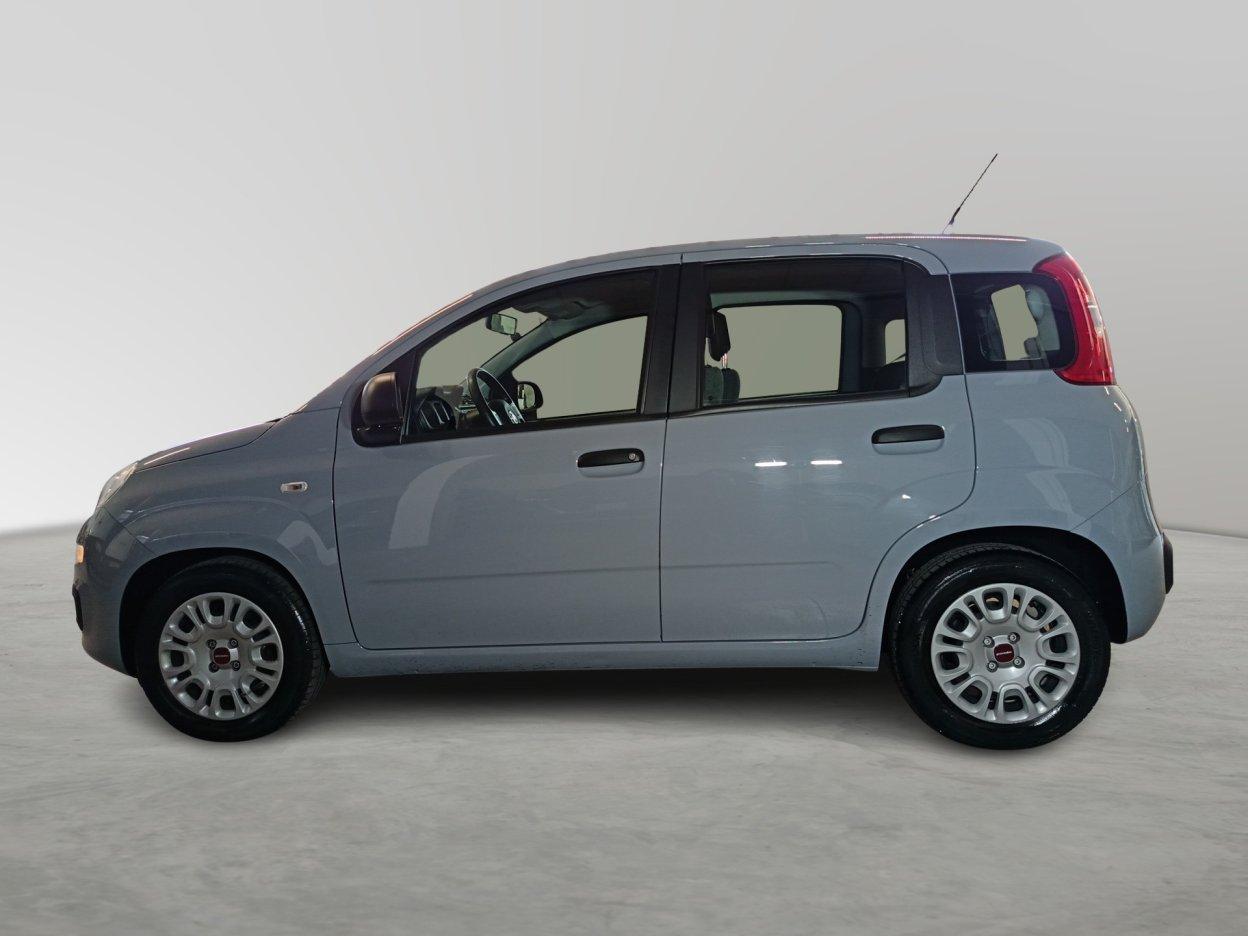 FIAT Panda 3ª serie - Panda 1.0 FireFly S&S Hybrid