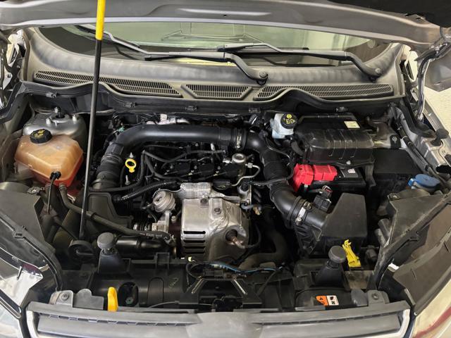FORD EcoSport 1.0 EcoBoost 125 CV Business