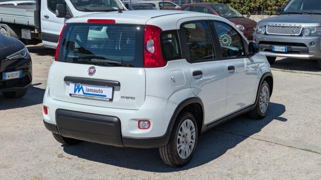 FIAT Panda FireFly Hybrid 1.0cc 69cv