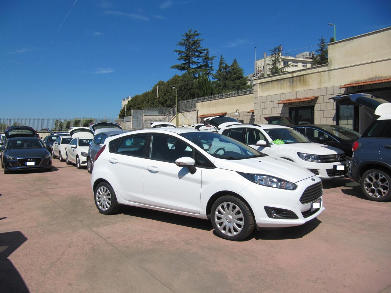 Ford Fiesta 1.5 TDCi 75CV 5 porte Black & White Edition