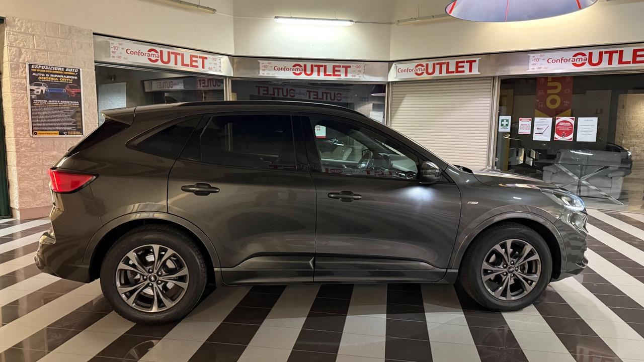 Ford Kuga 1.5 EcoBlue 120 CV 2WD ST-Line