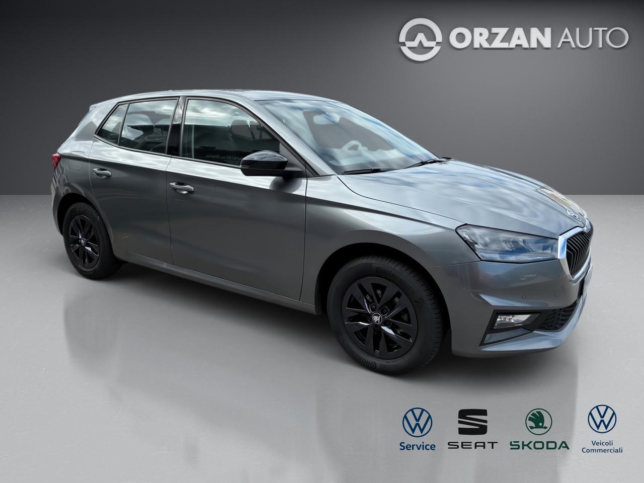 Skoda Fabia 1.0 TSI 95 CV Young Edition CELL VENDITE 3491558563 - 3478673115