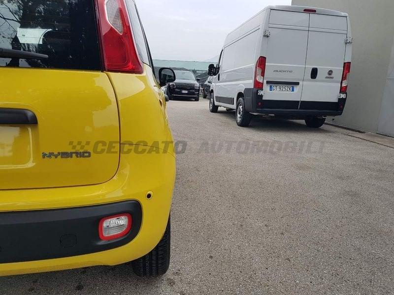 FIAT Panda Panda 1.0 70cv Hybrid Icon