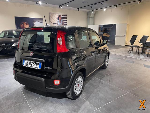 FIAT Panda 1.0 FireFly S&S Hybrid Con Rottamazione