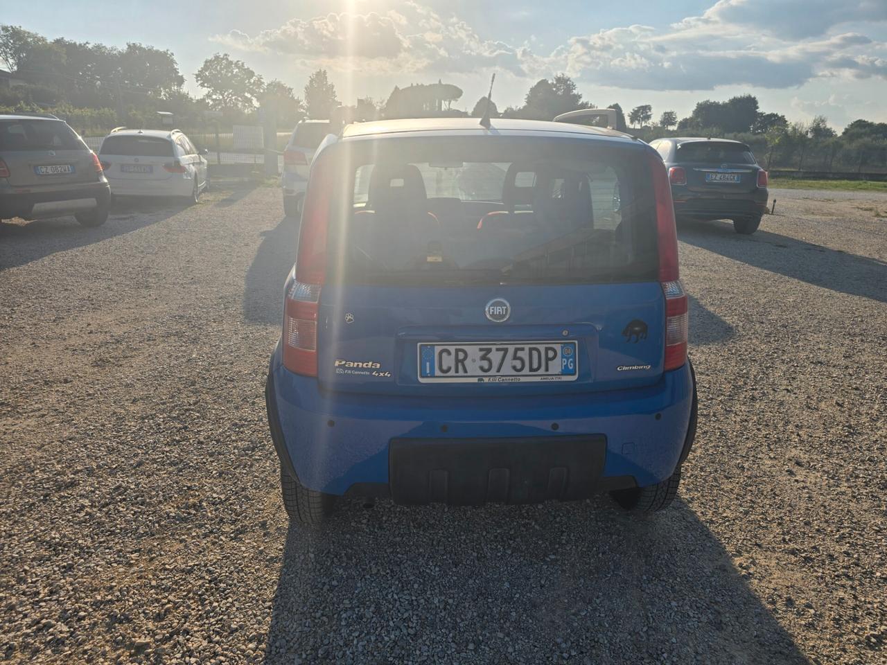Fiat Panda 1.2 benzina 4x4 cv 60
