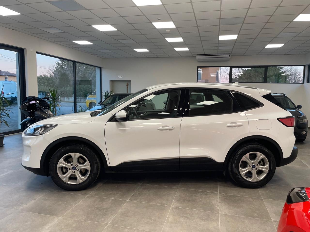 Ford Kuga 1.5 EcoBlue 120 CV 2WD Connect