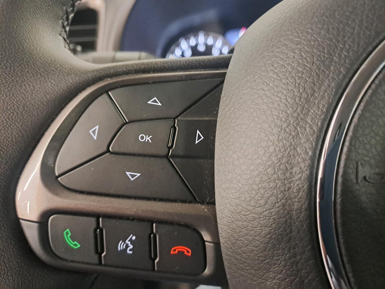 Jeep Renegade 1.3 T4 DDCT Limited+LED