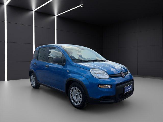 FIAT Panda 1.0 FireFly S&S Hybrid Pandina