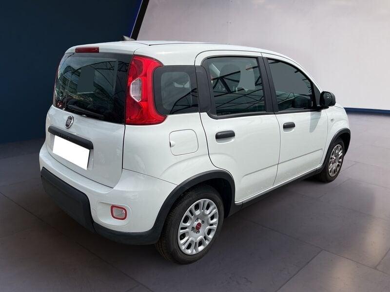 FIAT Panda My23 1.0 70cv Hybrid Panda