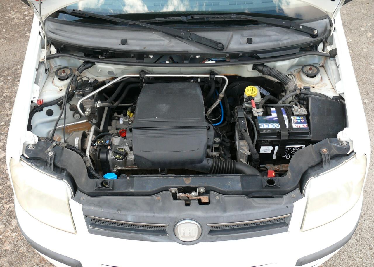 Fiat Panda Natural Power (M1384)