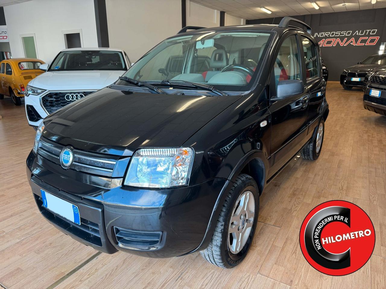 Fiat Panda 1.3 MJT 70cv 4x4 - 2006