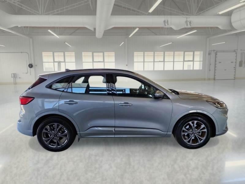 FORD KUGA 1.5 EcoBlue 120CV 2WD ST-Line Auto