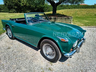 Triumph TR4 IRS Verde inglese | 1966 ASI Guida sinistra 2138 cc Ducati Bologna