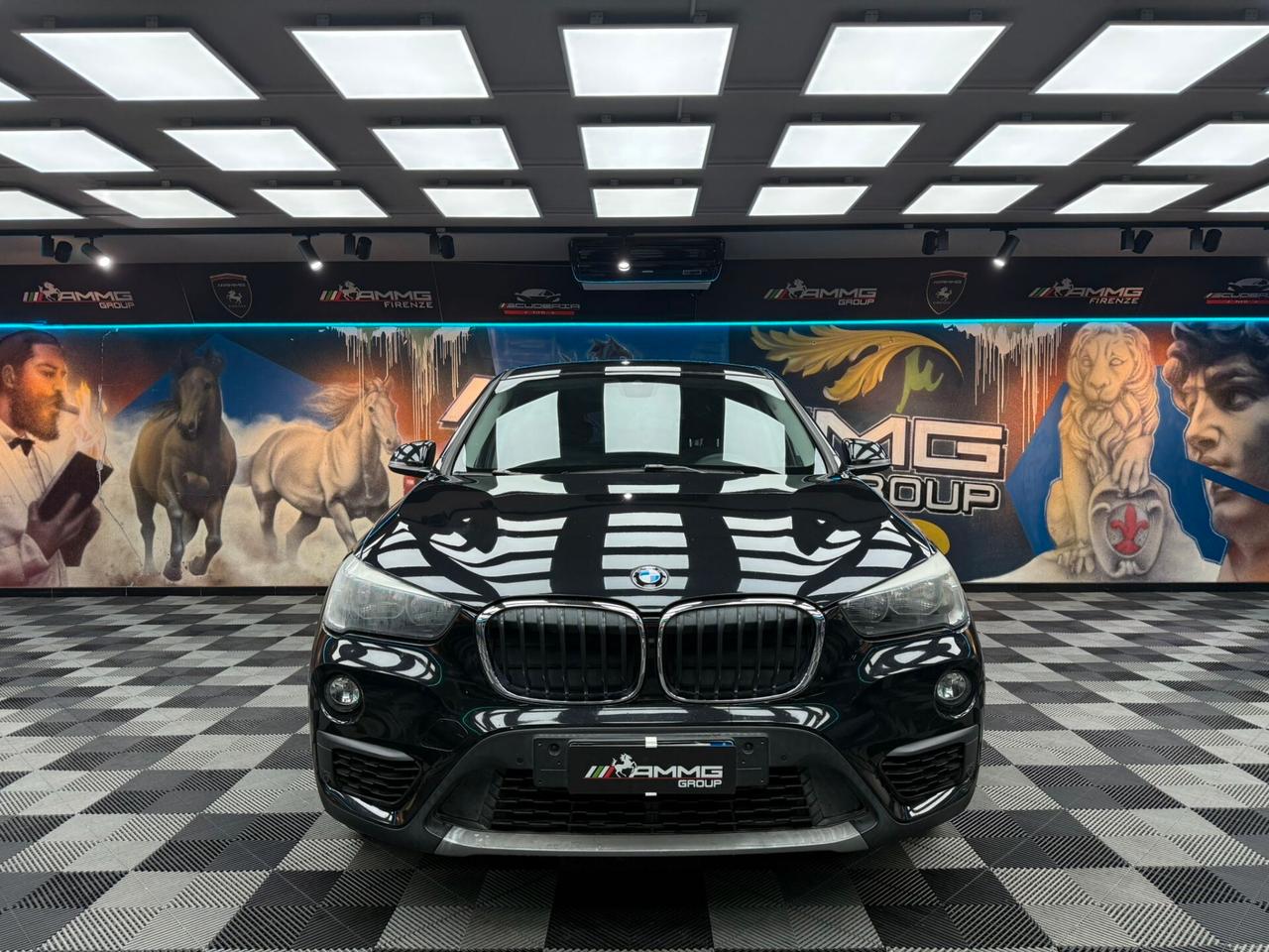 Bmw X1 sDrive18d BUSINESS(489)