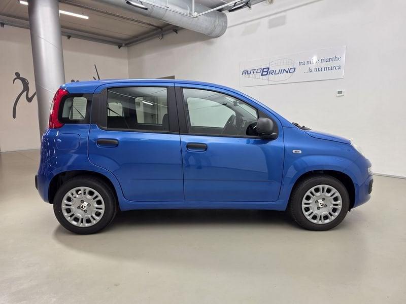 FIAT Panda 1.0 FireFly 70cv S&S Hybrid con Bonus EASY GO'