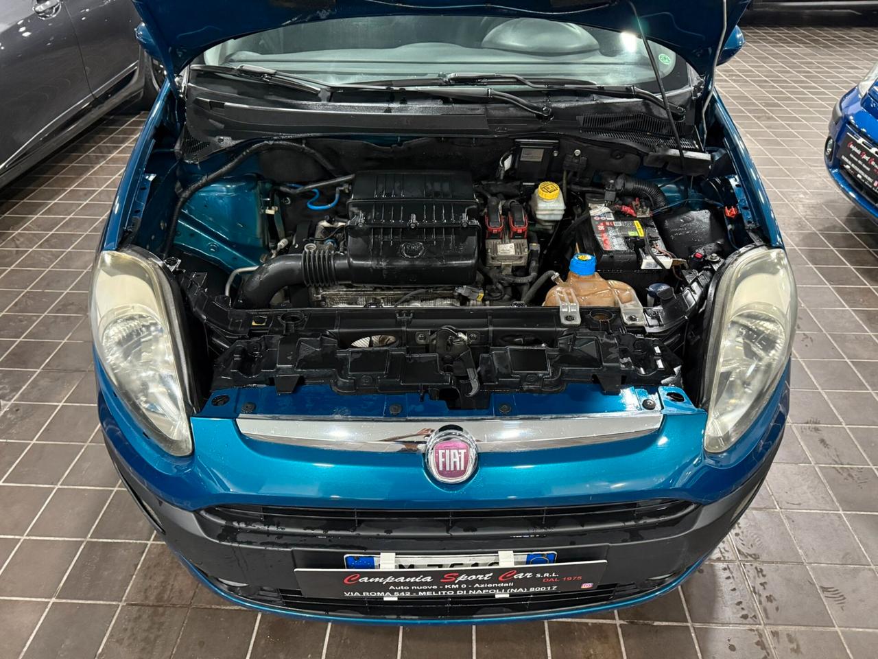 NUOVA FIAT PUNTO EVO LOUNGE 1.2 B/GPL 71CV