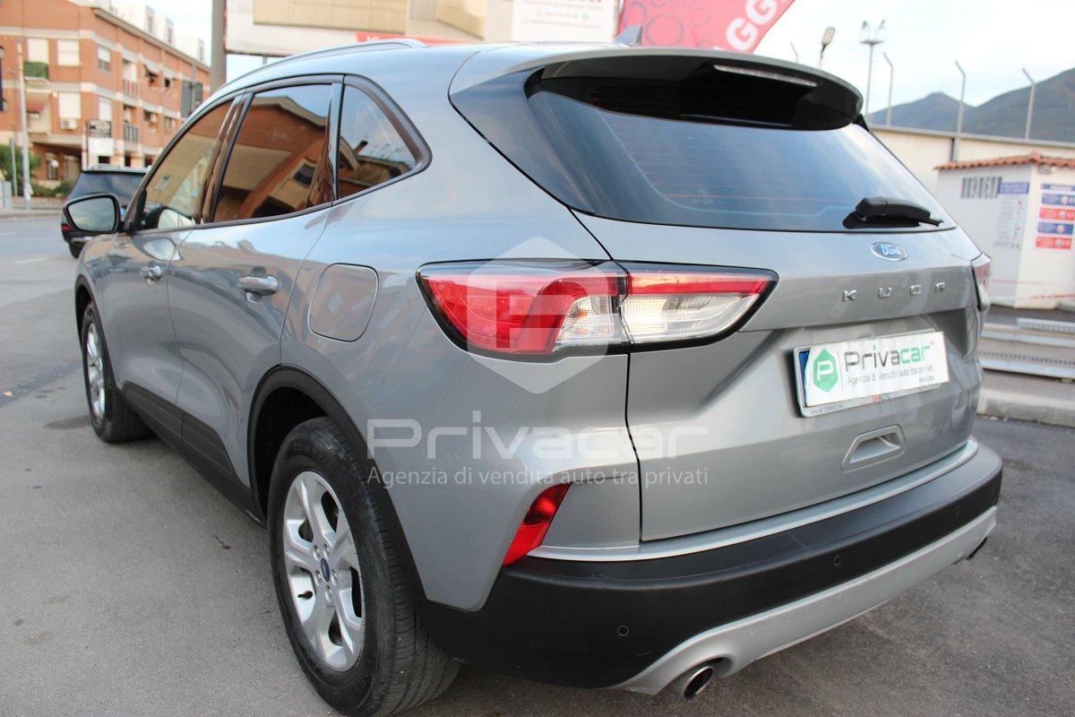 FORD Kuga 1.5 EcoBlue 120 CV 2WD Titanium Business