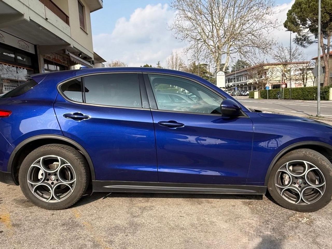 Alfa Romeo Stelvio 2.2 TD 160 CV #9701