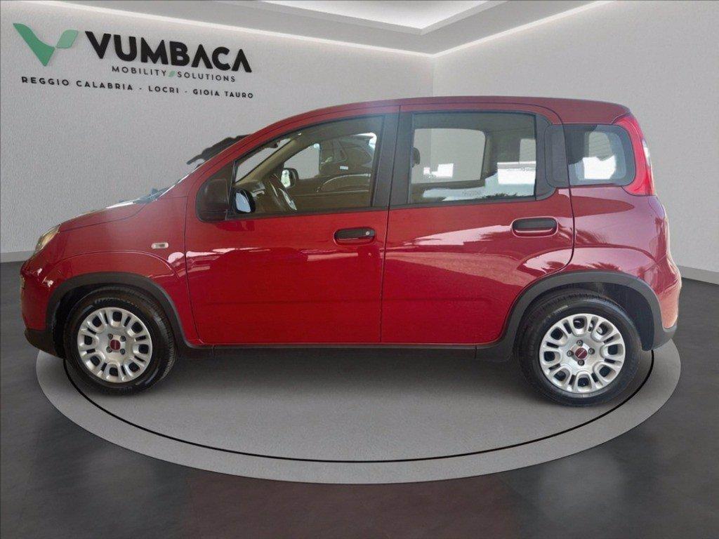 FIAT Pandina 1.0 firefly hybrid Icon s&s 70cv del 2024