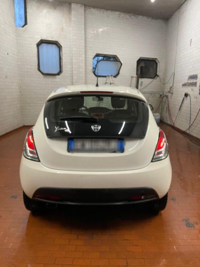 LANCIA Ypsilon 1.2 69 CV 5 porte Elefantino