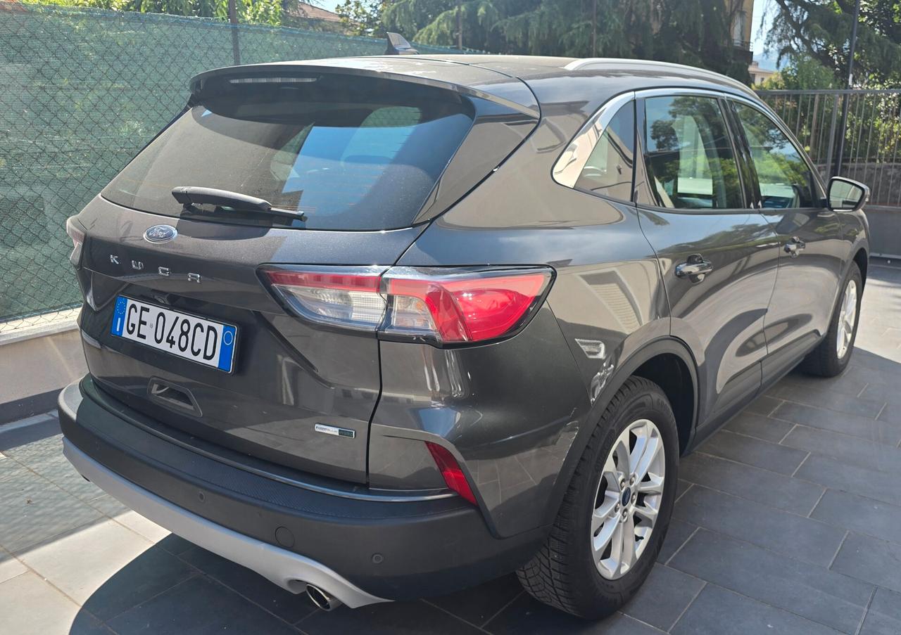 Ford Kuga 2.0 EcoBlue Hybrid 150 CV 2WD Titanium Business