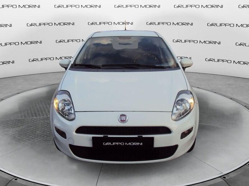 FIAT Punto Punto 1.4 8V 5 porte Natural Power Lounge