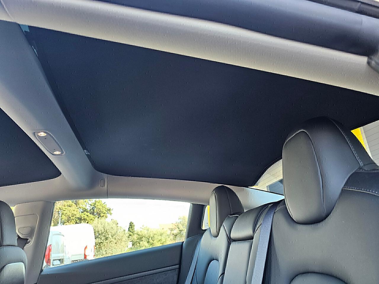 Tesla Model 3 Performance