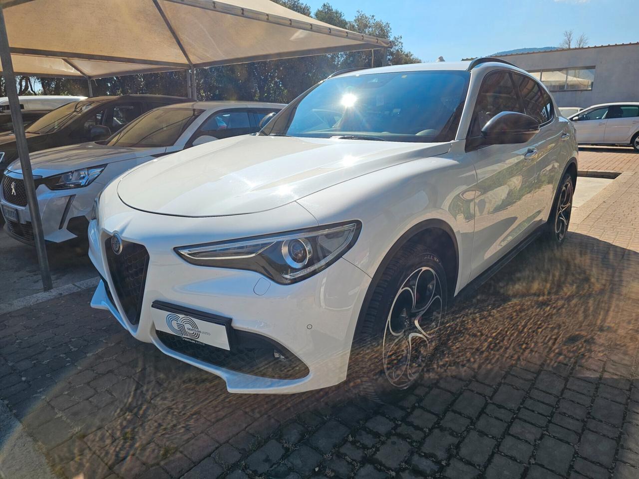 Alfa Romeo Stelvio 2.2 Turbodiesel 210 CV AT8 Q4 Executive