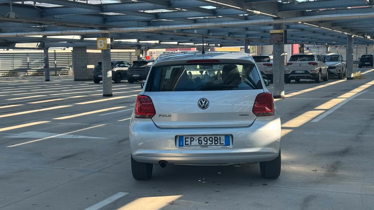 Volkswagen Polo 1.6 5 porte Highline BiFuel