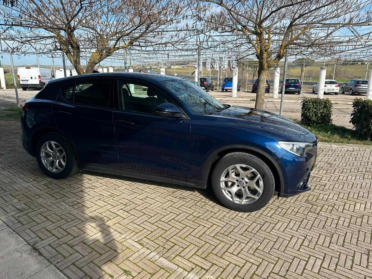 Alfa Romeo Stelvio 2.2 Turbodiesel 190 CV AT8 Q4 Business