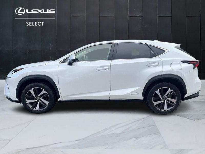 Lexus NX 300h 2.5 Luxury 4wd cvt IVA ESPOSTA