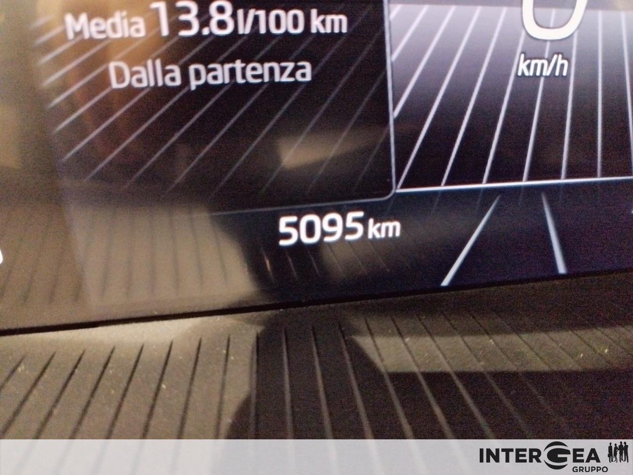 SKODA Fabia 1.0 tsi evo Young Edition 95cv