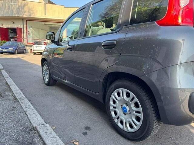 FIAT Panda 3ª serie Panda 1.2 Pandazzurri