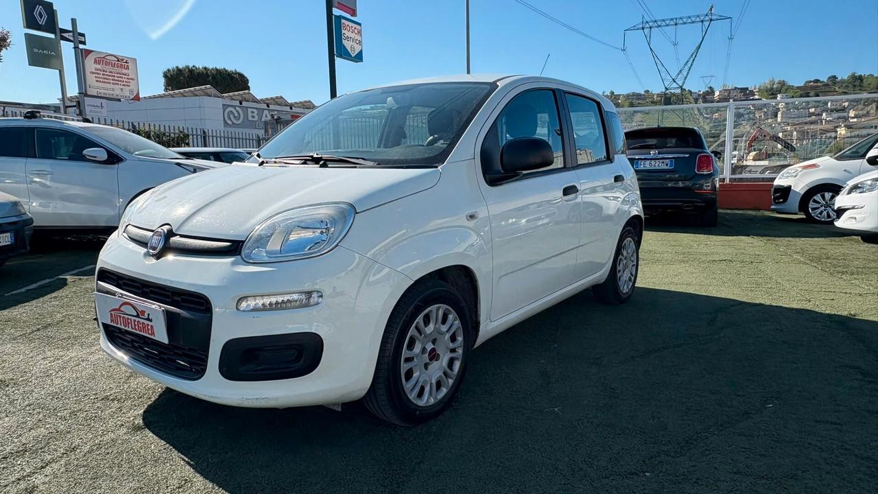 Fiat Panda 1.2 312PXA1A | BENZINA| 169A4000 CC 1242 CV 69 KW 51 BERLINA, 5 P.