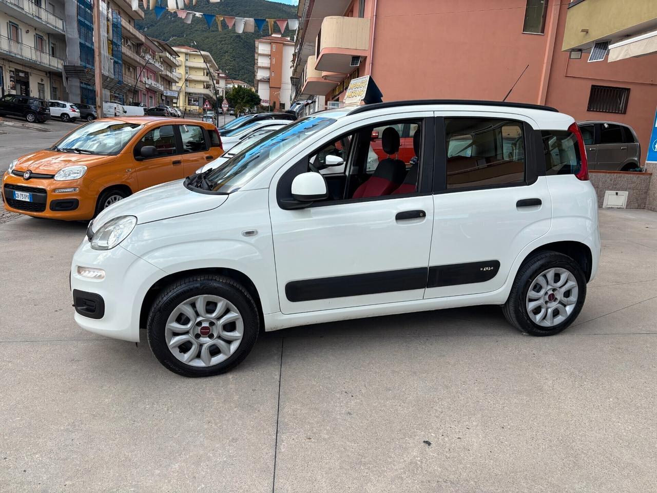 Fiat Panda 900 Twinair Natural Power-2013