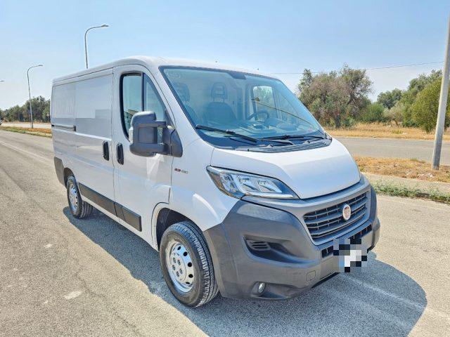 FIAT Ducato 30 2.3 MJT 120CV PC-TN