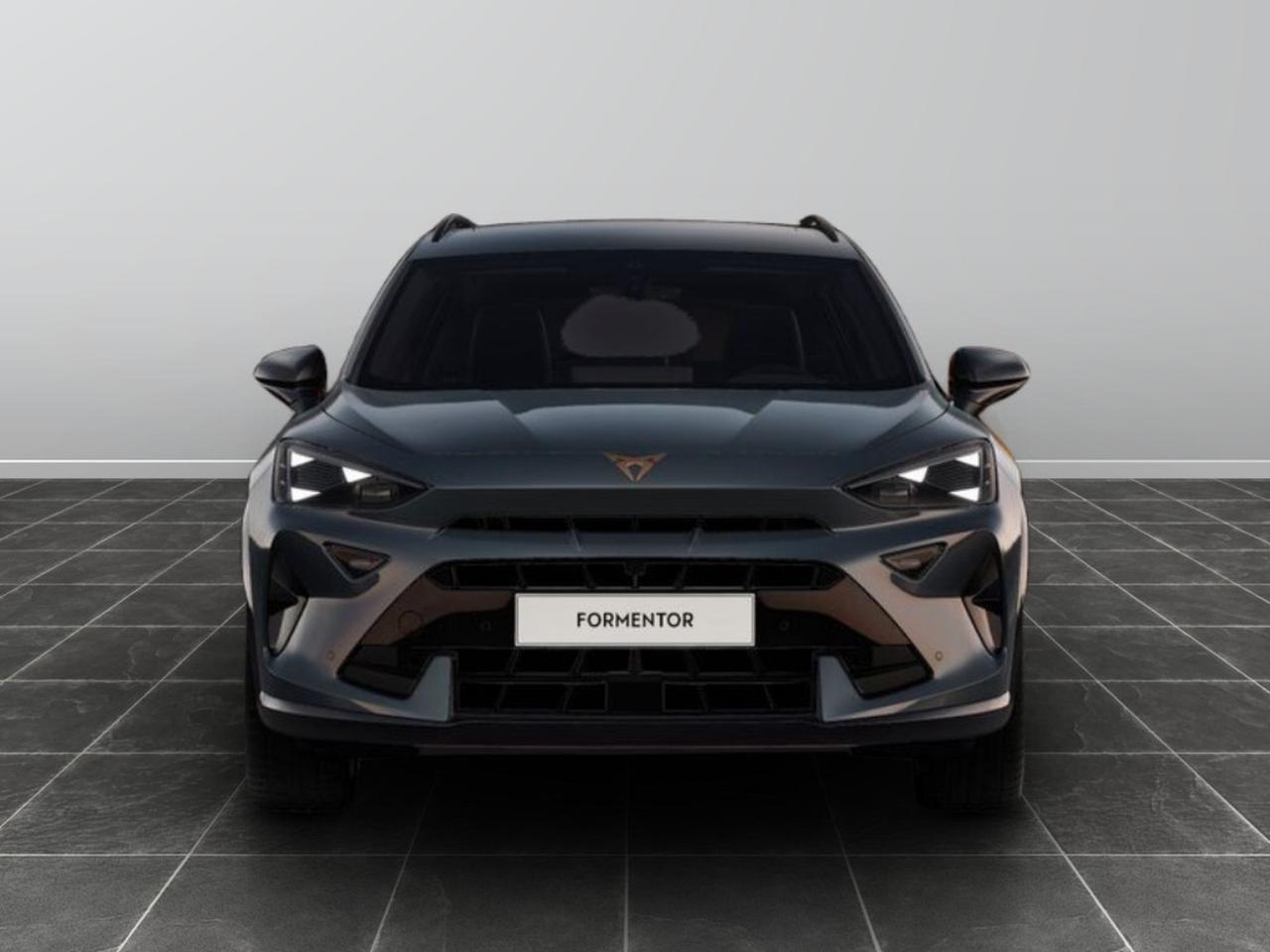 Cupra Formentor 2.0 tdi 150cv dsg