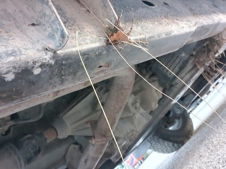 Nissan Navara 2.5 (D40) dCi 171CV 4WD Cab. Doppia