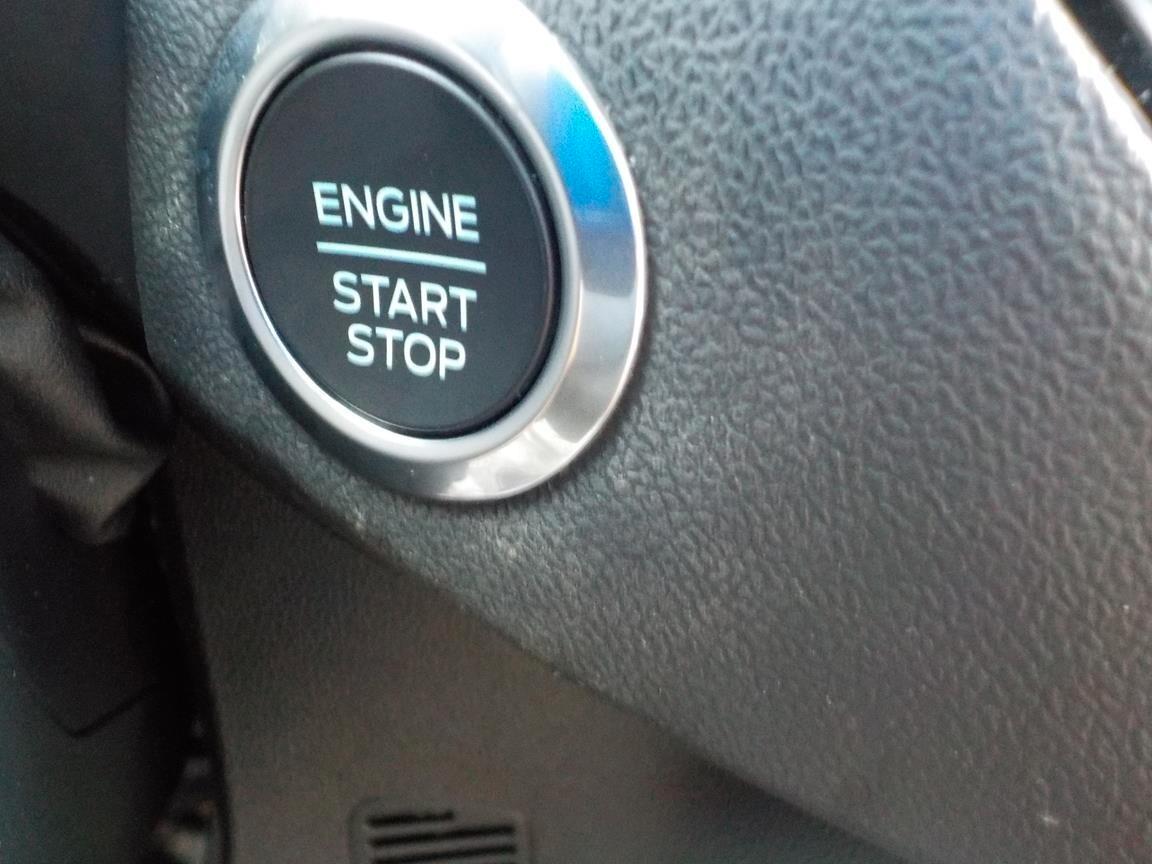 Ford Focus 1.0 EcoBoost Hybrid 125 CV 5p. ST-Line