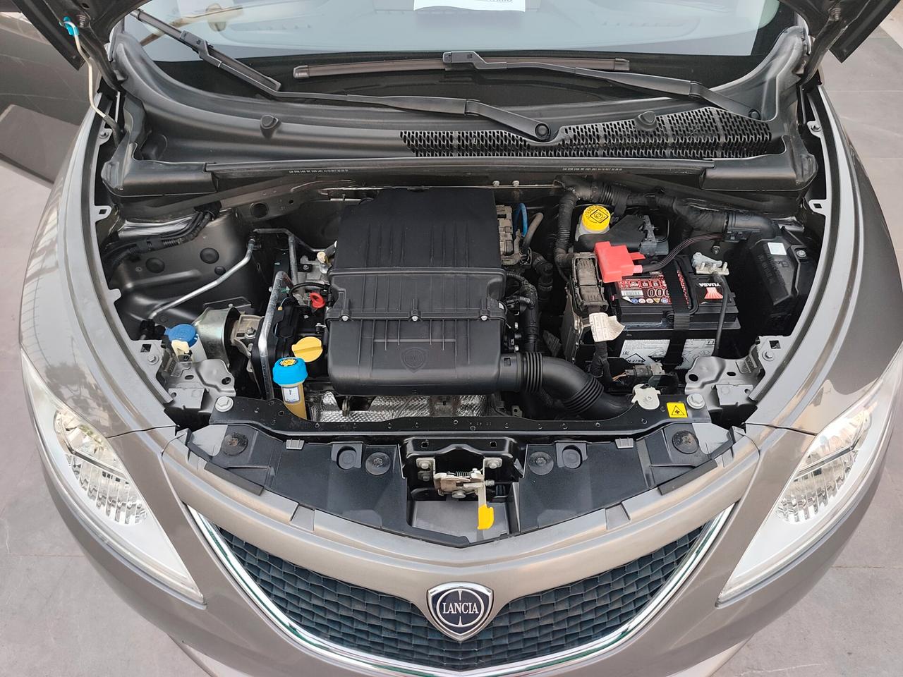Lancia Ypsilon 1.2 BENZINA KM 56000