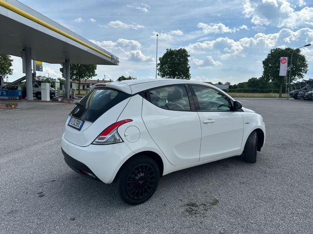 LANCIA Ypsilon 1.2 69 CV 5 porte Elefantino