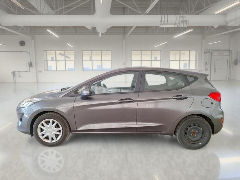 FORD FIESTA 1.5 EcoBlue 85CV Business 5 PORTE