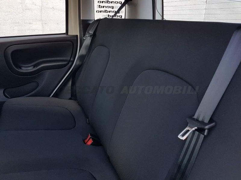 FIAT Panda Panda 1.0 70cv Hybrid Icon