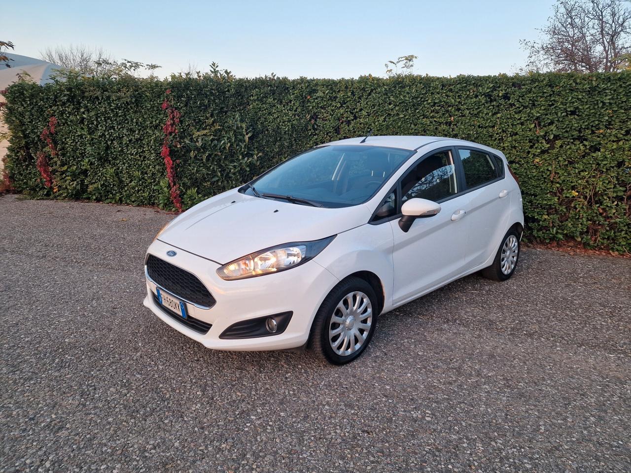 Ford Fiesta 1.2 82cv 5p 2017