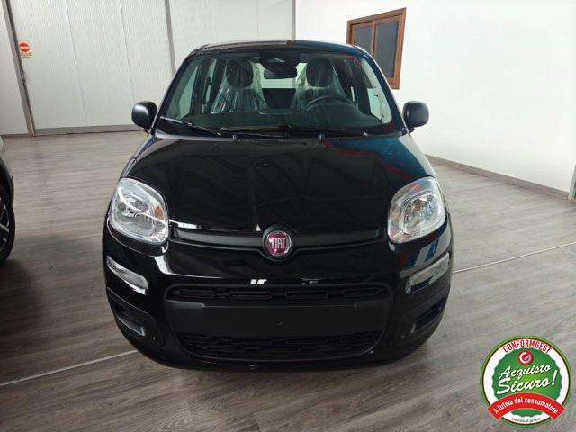 FIAT Pandina 1.0 FireFly 65 CV Hybrid Icon