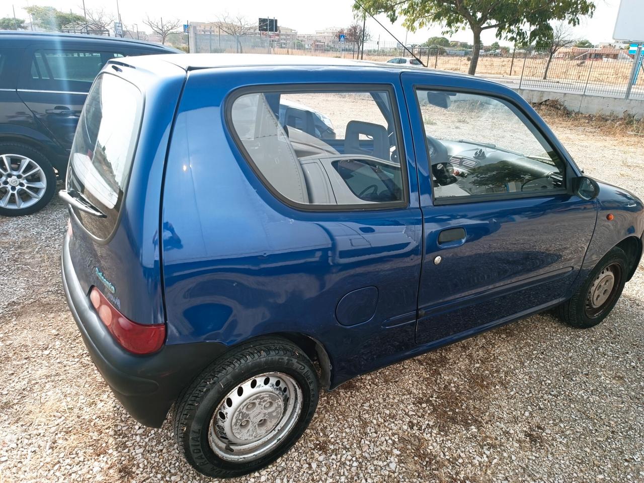 Fiat Seicento 900i cat Young