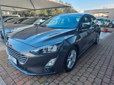 Ford Focus 1.5 EcoBlue 120 CV automatico 5p. Business Co-Pilot