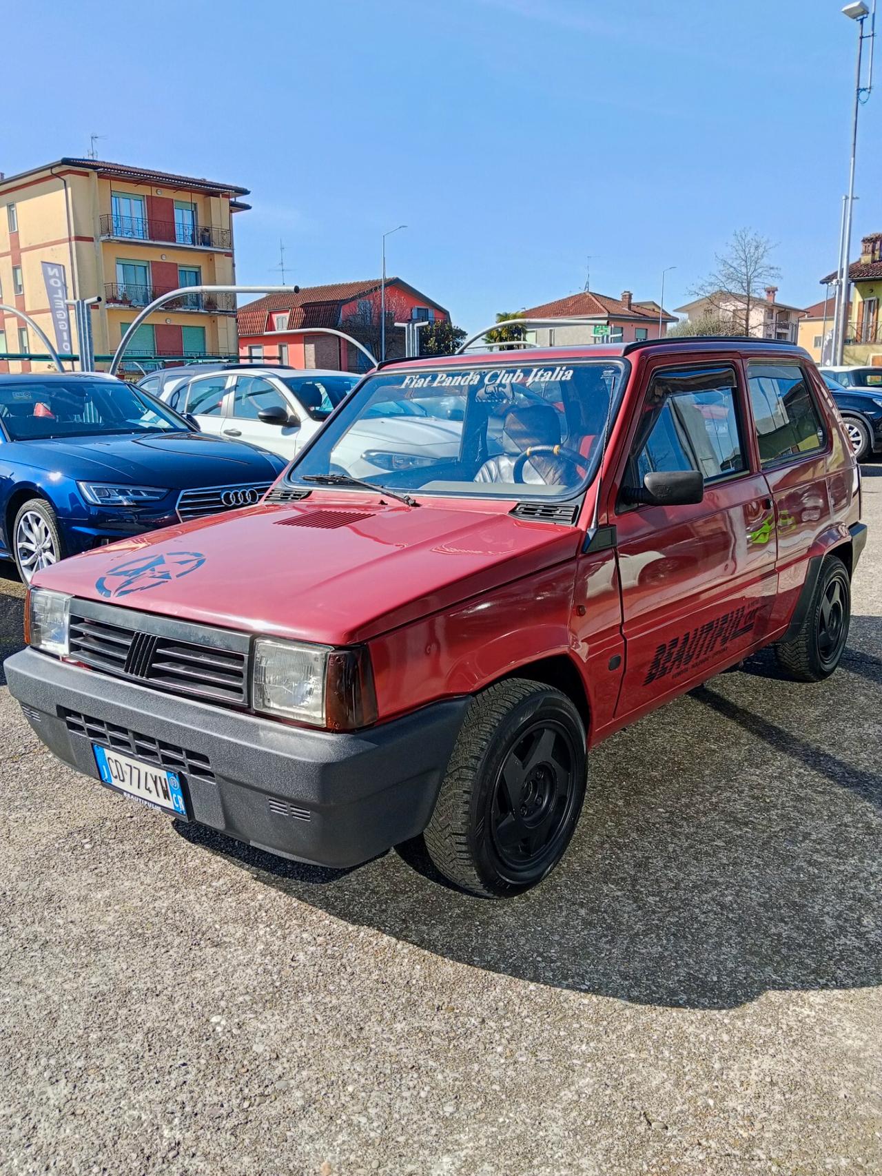 Fiat Panda 1100 i.e. cat Young
